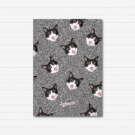 CUADERNO CRAZY CAT - IMBORRABLE