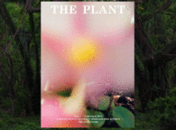 THE PLANT