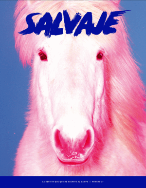 REVISTA SALVAJE 27