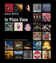 DAN WITZ - IN PLAIN VIEW