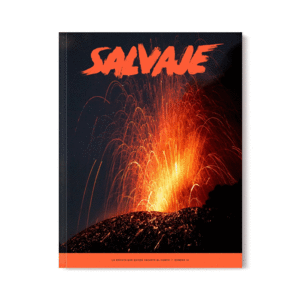 REVISTA SALVAJE Nº 3 (LA REVISTA QUE QUIERE SACARTE AL CAMPO)