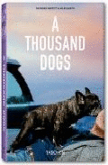 A THOUSAND DOGS