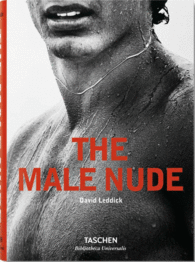 THE MALE NUDE