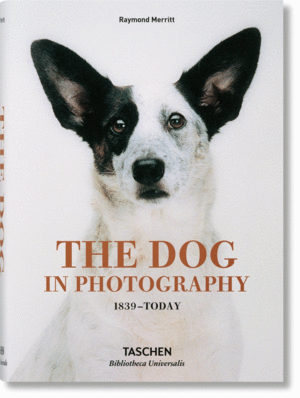THE DOG IN PHOTOGRAPHY 1839TODAY