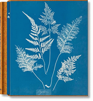 ANNA ATKINS. CYANOTYPES