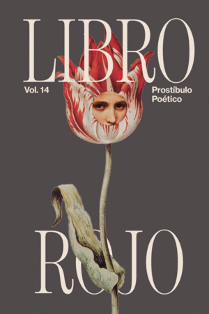 LIBRO ROJO VOL. 14