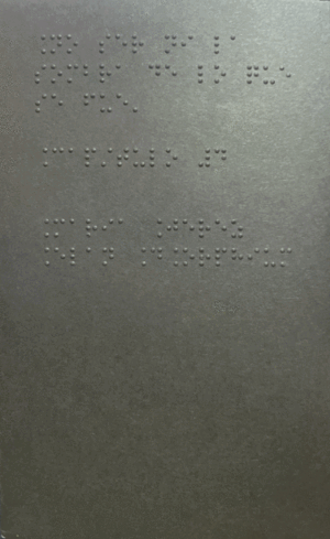 NO SER NI LA SOMBRA DE LO QUE FUE. CAPÍTULO 4