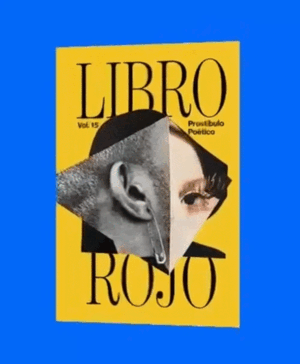 LIBRO ROJO 15