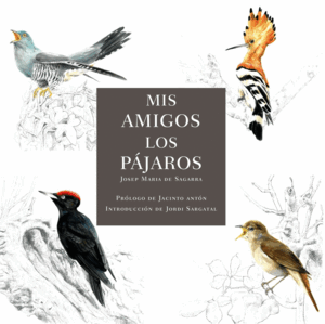 MIS AMIGOS LOS PÁJAROS
