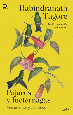 PÁJAROS Y LUCIÉRNAGAS