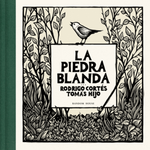 LA PIEDRA BLANDA