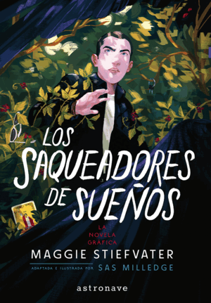 THE RAVEN BOYS 02. LOS SAQUEADORES DE SUEÑOS
