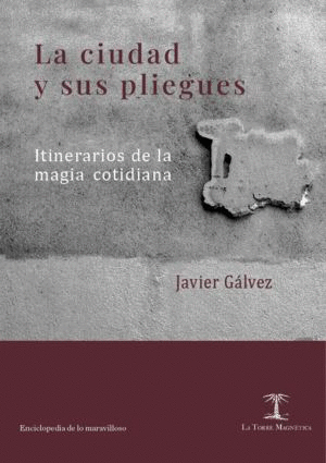 LA CIUDAD Y SUS PLIEGUES