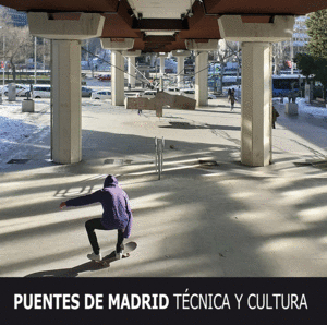 PUENTES DE MADRID. TÉCNICA Y CULTURA