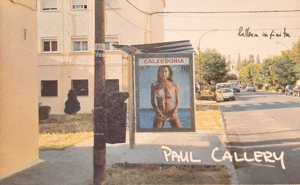 PAUL CALLERY