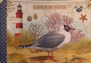 CUADERNO BORD DE MER