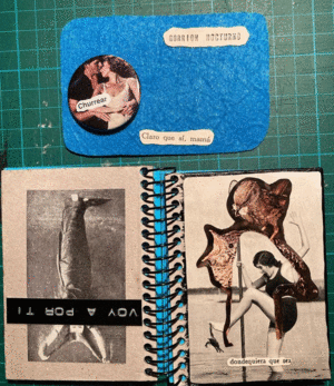 LIBRETA GORRIÓN NOCTURNO GRANDE