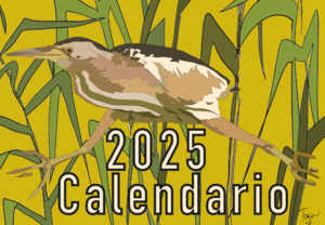CALENDARIO LIDIA TOGA 2024 GARZETTA