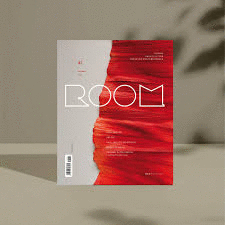 REVISTA ROOM #47