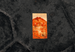 SAVE MARS FROM US PRINT