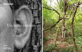 REUNIÓN. UN TEXTO CAMINO
