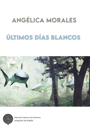 ÚLTIMOS DÍAS BLANCOS