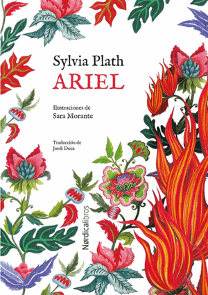 ED. ESPECIAL ARIEL