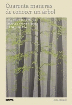 CUARENTA MANERAS DE CONOCER UN ÁRBOL