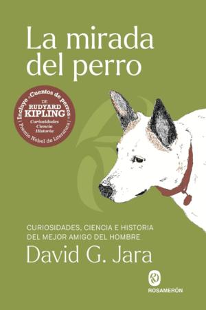 LA MIRADA DEL PERRO